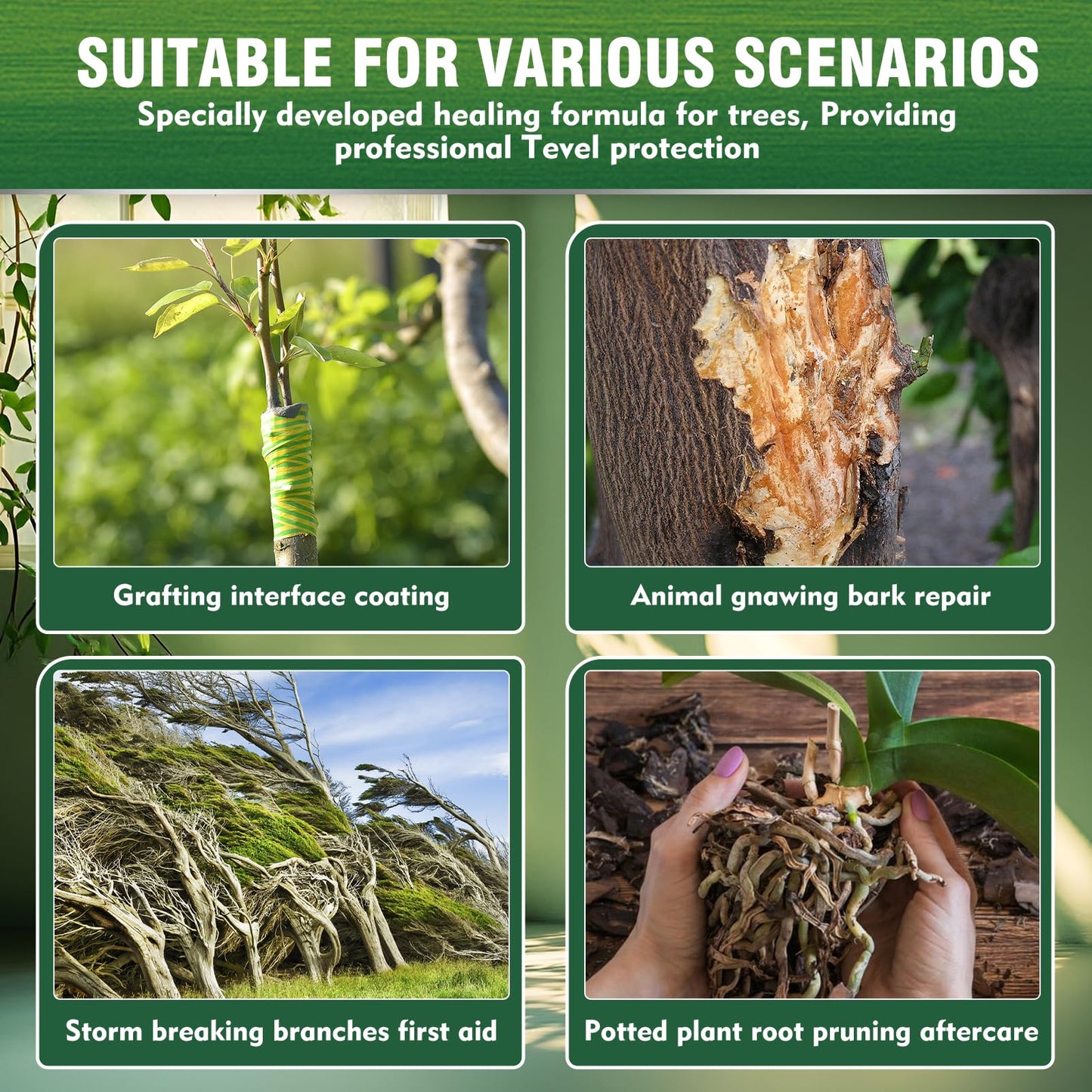 Tree Wound Sealer, Organic Pruning Dressing Paste & Grafting Compound, Natural Woundressing for Bonsai, Fruit Trees, Roses, Bonsai | Waterproof Protection (Tree Wound Sealer, 1)