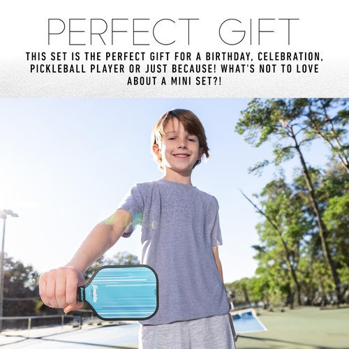 Franklin Sports Mini Pickleball Game Set - Tabletop Pickleball Paddle + Ball Indoor Game for Adults + Kids - Includes (2) 9" Inch Paddles + (2) 1.65" Inch Mini Pickleballs - Blue + Pink