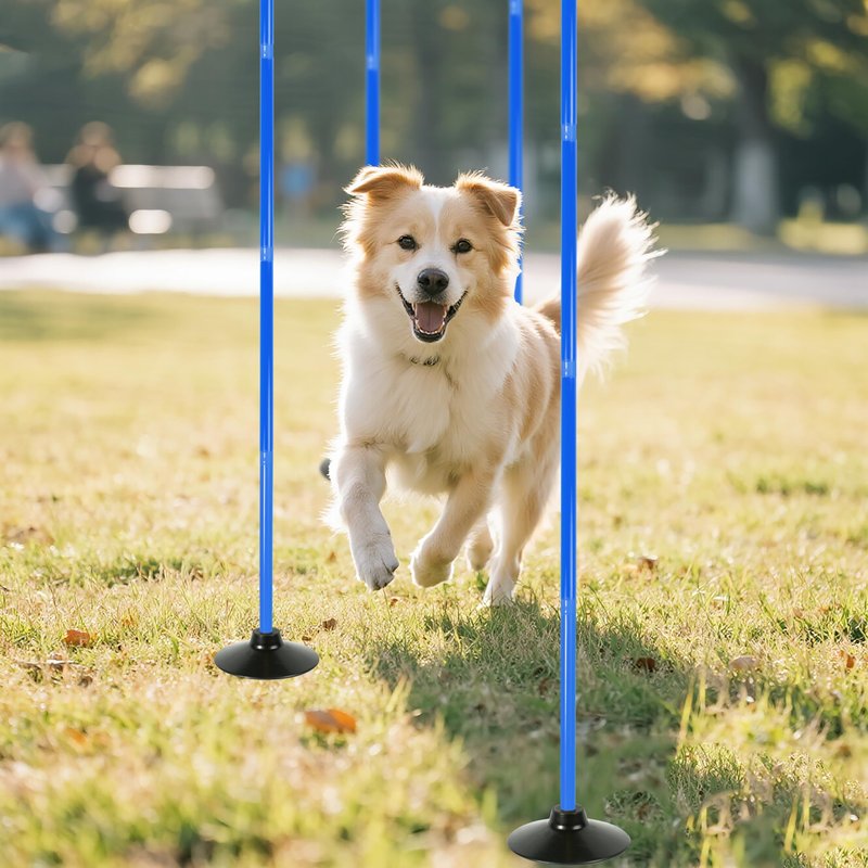 4 Pack Soccer Agility Training Poles, 5 FT Adjustable Speed and Agility Training Equipment for Football/Basketball/ Dog Practice, Bending Poles for Horses with Rubber Bases and Carry Bag (Blue)