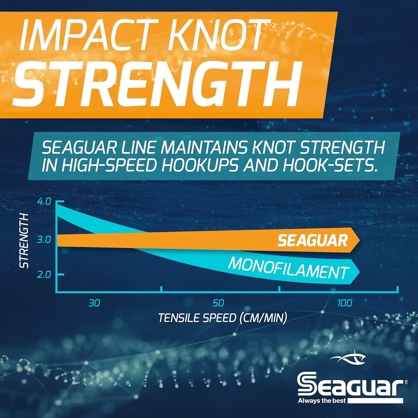 Seaguar Blue Label Fishing Leader Line - 100% Fluorocarbon for Saltwater | Clear, Multiple Sizes Available
