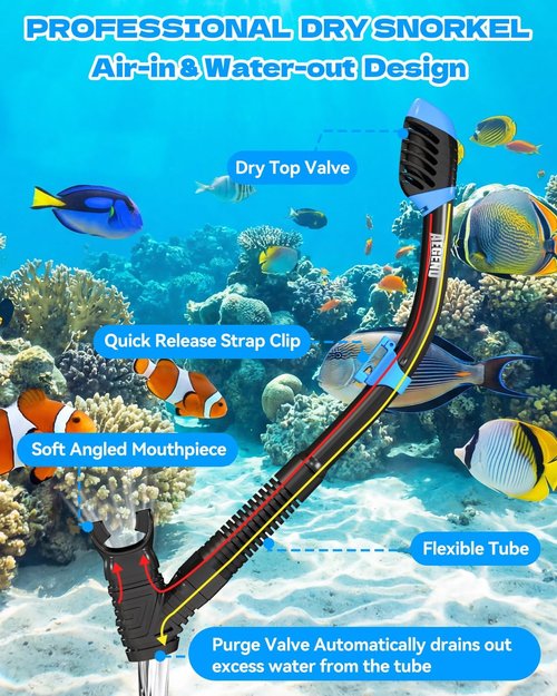 Aegend Snorkeling Gear for Kids - Anti-Fog Mask, Adjustable Fins & Dry Snorkel | Complete Snorkel Kit