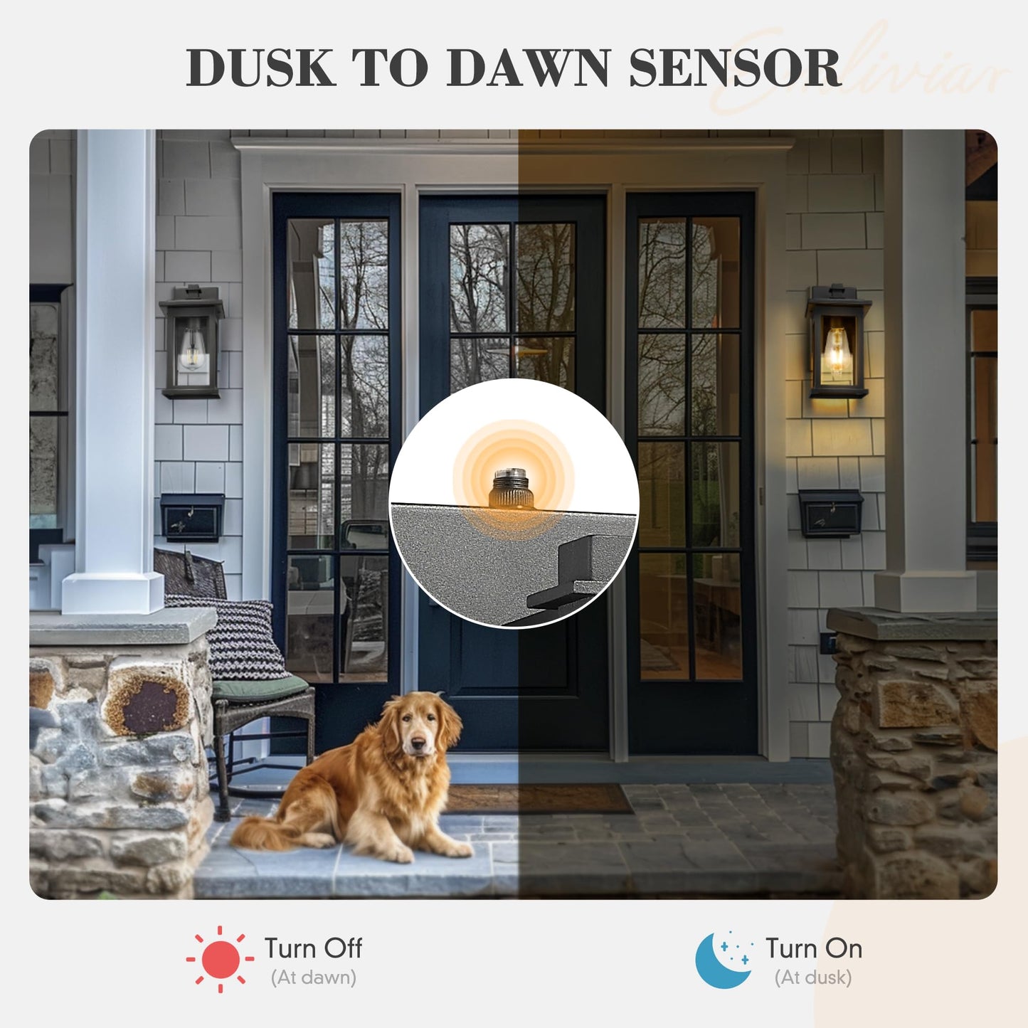 Emliviar 2 Pack Dusk to Dawn Outside Wall Mount Lighting, 11.8 inch Exterior Light Fixture with Clear Glass, Black Finish, 1803EW1-PC-2PK BK