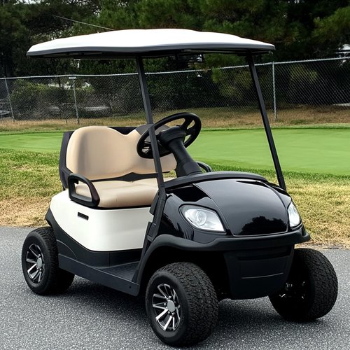 WUTIST Golf Cart Front Seat Backrest Compatible with 2004-Up Club Car Precedent Seat Back Cushion Assembly Kit Beige Plastic Foam Wood