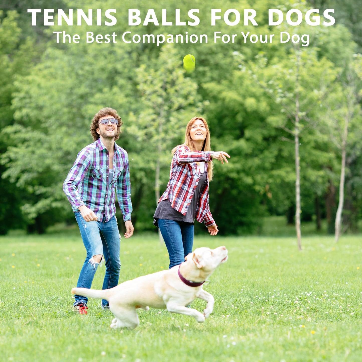 ZHUOKECE Tennis Balls, 18 Pack Training Tennis Balls Practice Balls with Mesh Bag for Easy Transport, Pet Dog Playing Balls, fit for Beginner Training Ball (Green)