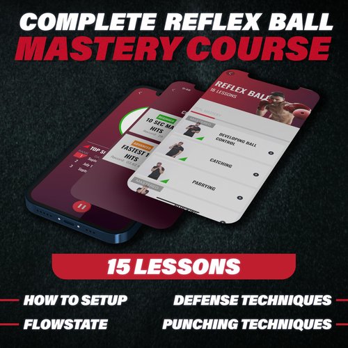 Champs MMA Boxing Reflex Ball Set with Punch Counter App | 4 Balls with Varying Weights, Headband & 4 Spare Strings to Improve Speed, Hand Eye Coordination Training | Boxing Equipment, MMA Gear Gift