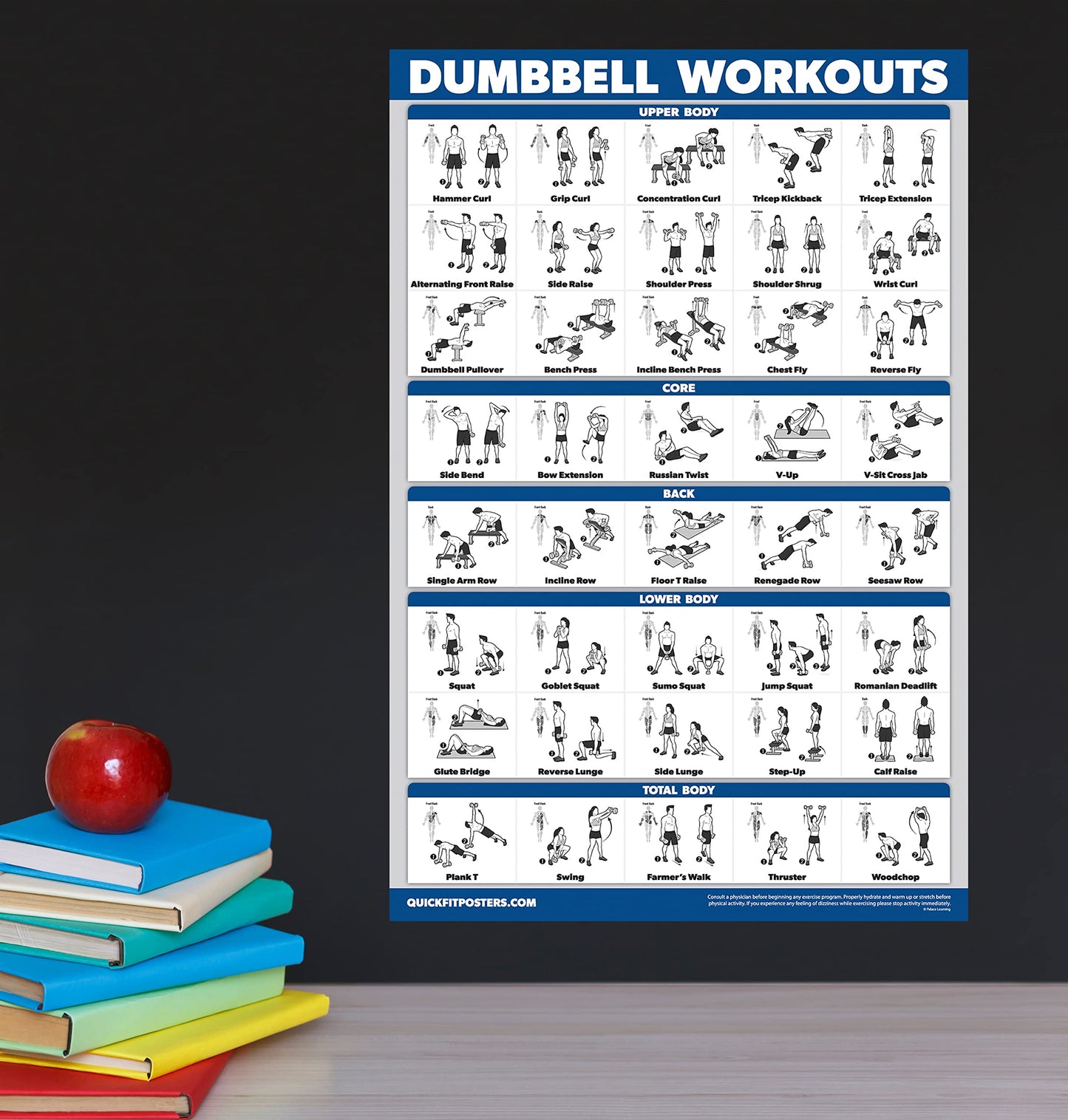 Palace Learning Dumbbell Workouts and Bodyweight Exercise Poster Set - LAMINATED 2 Chart Set - Dumbbell Exercise Routine & Body Weight Workouts (18" x 24")