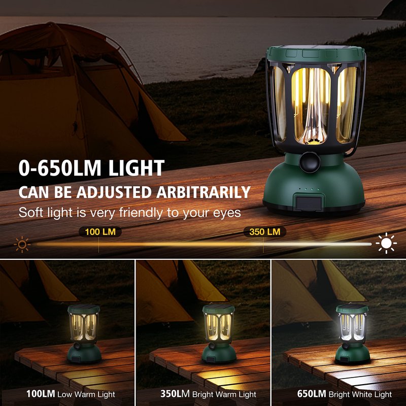 Raynic 6000 LED Camping Lantern, 650LM Hand Crank Solar Battery Powered Rechargeable Lantern, Emergency Lights for Home Power Failure, Hurricane, USB Cable Included