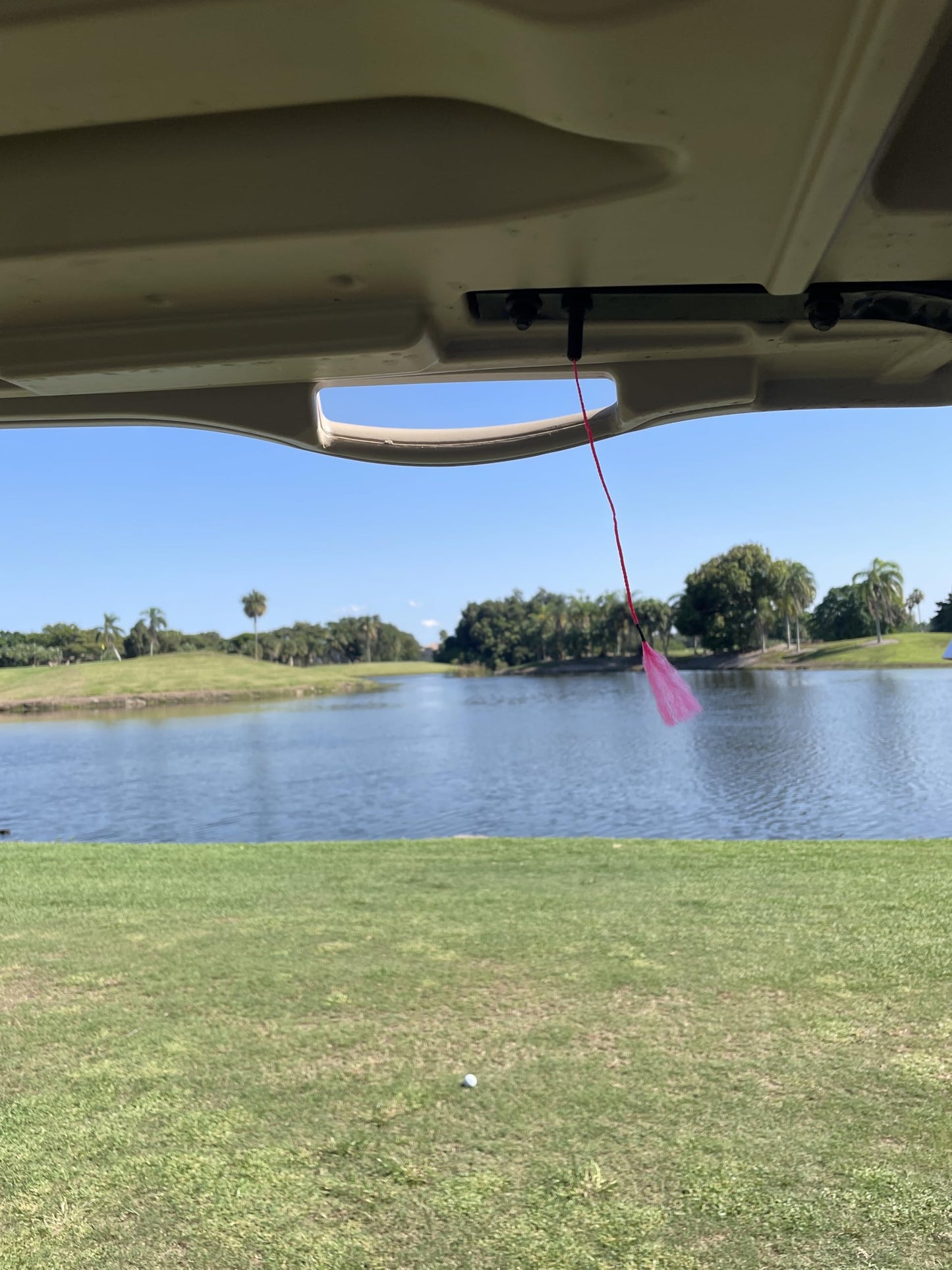 Tattle-Tail Golf Cart Wind Indicator (Neon Pink)