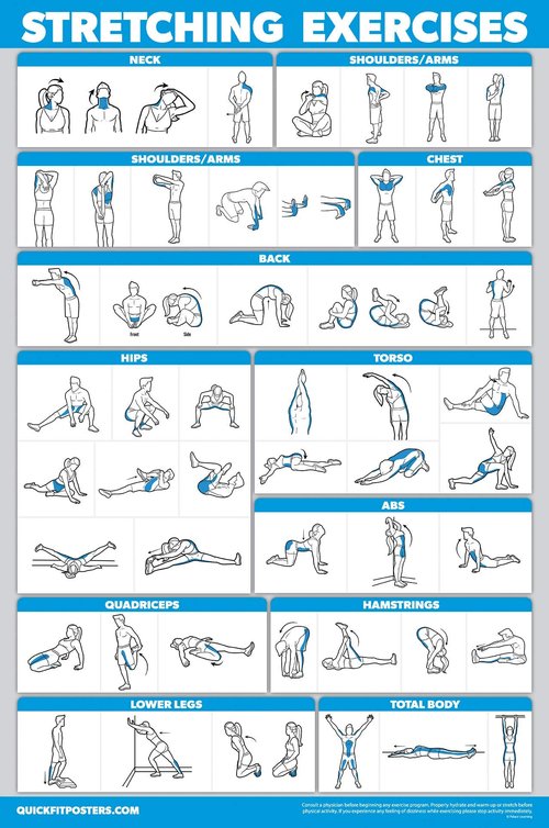QuickFit 10 Pack - Exercise Workout Poster Set - Yoga Volume 1 & 2, Suspension, Kettlebell, Resistance Bands, Stretching, Bodyweight, Barbell, Exercise Ball (Laminated, 18" x 24")