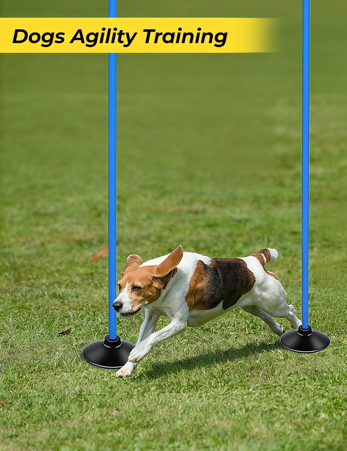 SEAOTTER Soccer Agility Poles Set - 6ft Detachable Training Poles with Rubber Base for Football, Rugby & Basketball