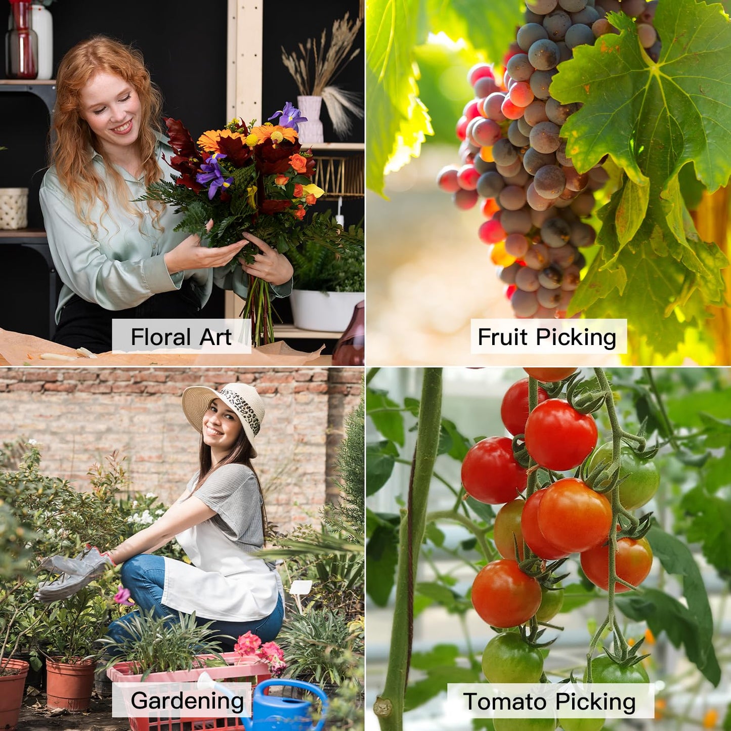 Housolution Flower Scissors, Strong Floral Shears,3PCS Premium Steel Garden Pruning Shears Floral Fruits Leaf Scissors Hand Pruner Snip Trimming Tool for Gardening Flower Arrangement, Green