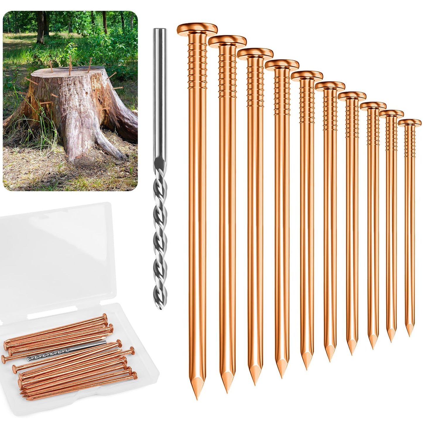 UCandy Pack 10 Copper Nails for Killing Trees Stump Root, 3.14" Copper Nails with Drill, Stump Removal Spikes Hardware Nails for Trees