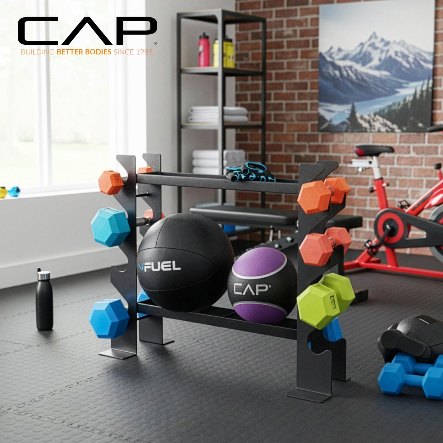 CAP Barbell Dumbbell and Accessories Rack