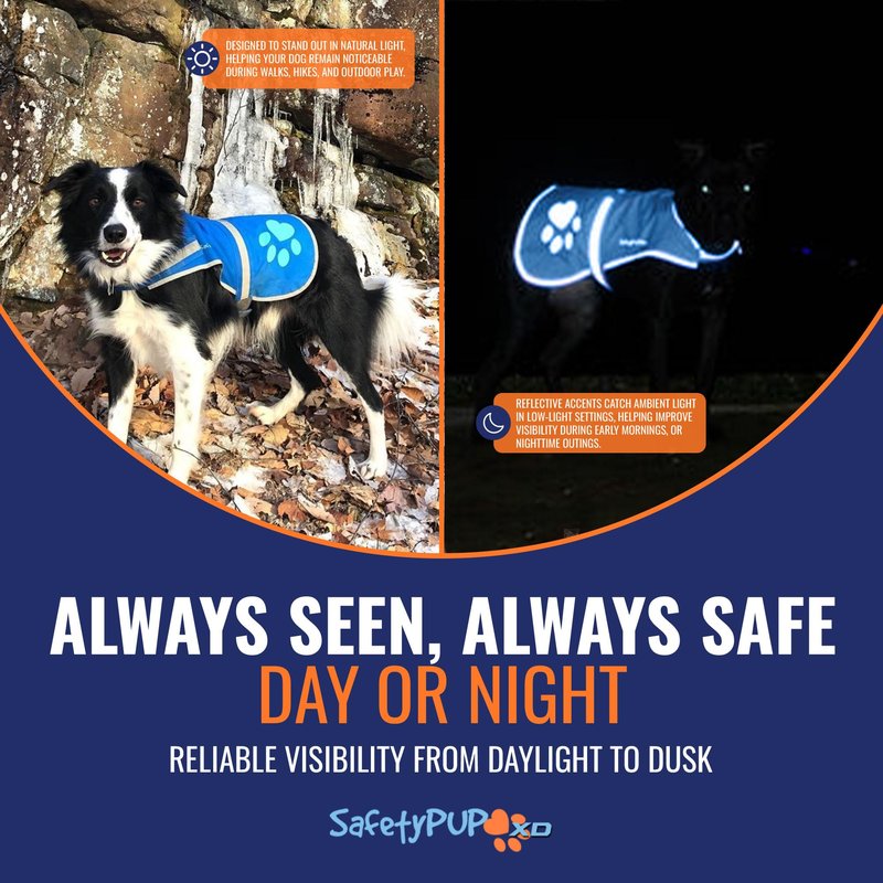 SafetyPUP XD Dog Reflective Vest – Hi-Vis Fluorescent Visibility that Helps to Safeguard Your Pet On/Off Leash in Urban & Rural Areas (Teal, Large)