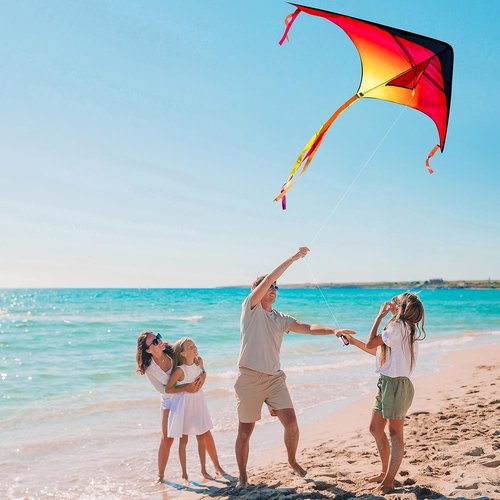 JOYIN Large Delta Kite - Easy to Fly Gradient Rainbow Design | 3-Pack for Kids & Adults
