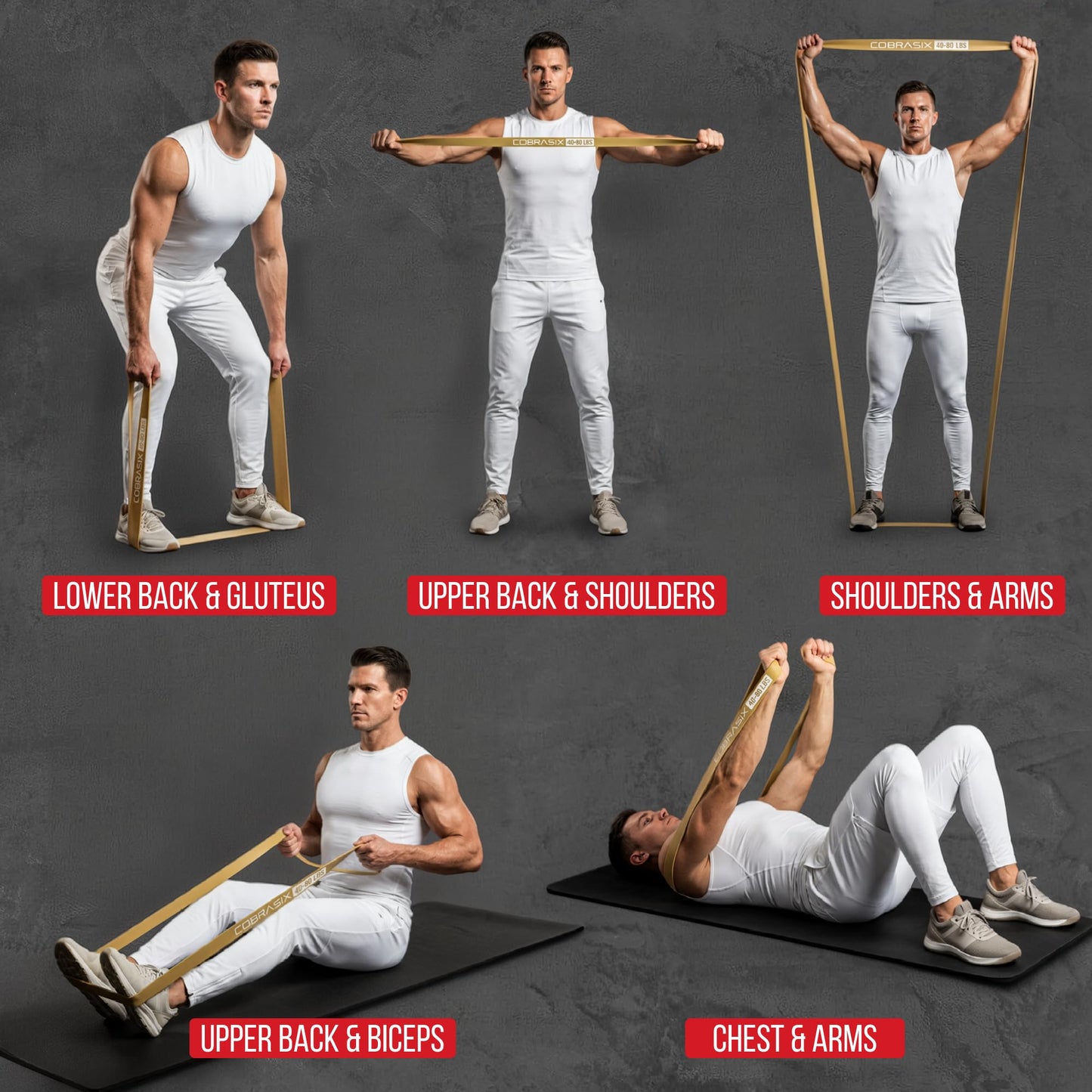 COBRASIX Long Resistance Bands for Working Out | Set of 6 Exercise Bands for Full-Body Training | Pull Up Bands for Home Gym with Handles, Door Anchor and Bar Options | for Men & Women