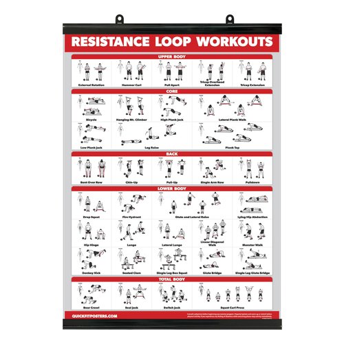 Palace Learning QUICKFIT Resistance Loop Bands Workout Poster - with Plastic Frame - Exercise Chart for Resistance Band Loops - 18" x 24"