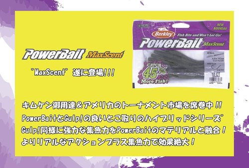 Berkley PowerBait MaxScent D-Worm | Premium Soft Plastic Fishing Lure - Versatile 6-Inch Size