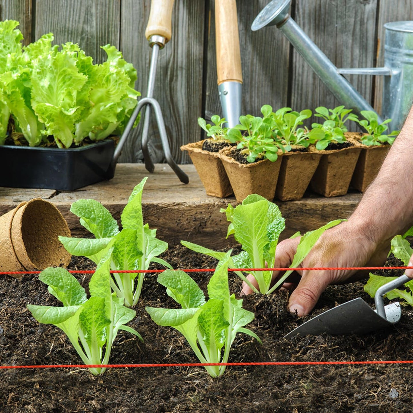 BSRHOME Reloadable Line Reel,Mason Line String Line,600 Ft Length Nylon Twine,Nylon String for Gardening Or Masonry Tools,Twine String for Gardening,Yellow