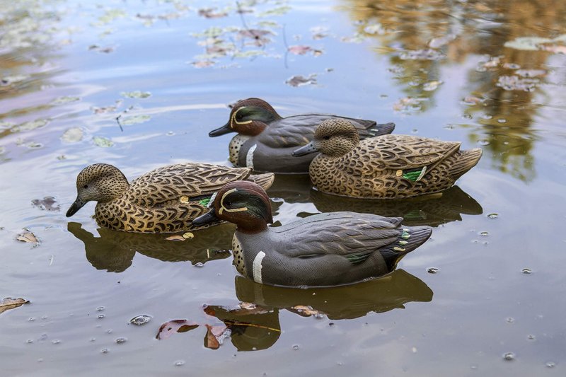 Flambeau Outdoors 8015SUV Storm Front 2 Green-Winged Teal Decoys, Classic Floaters - 6-Pack