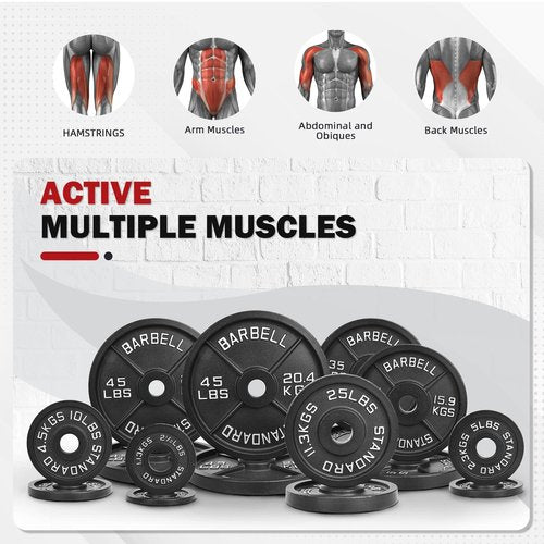 【10LB Two-Pair Set】2" Cast Iron Weight Plates | (4 x 10LB) Black Plates with Silver Numbers | Fits Standard Dumbbell Handles & Barbells