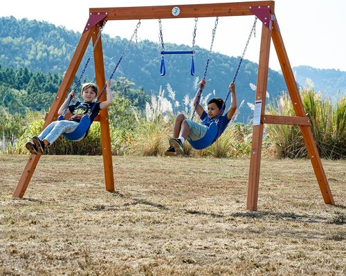 Dolphin Playground Wooden Swing Set for Kids - Heavy Duty Outdoor Play with Trapeze Bar & 2 Belt Swings