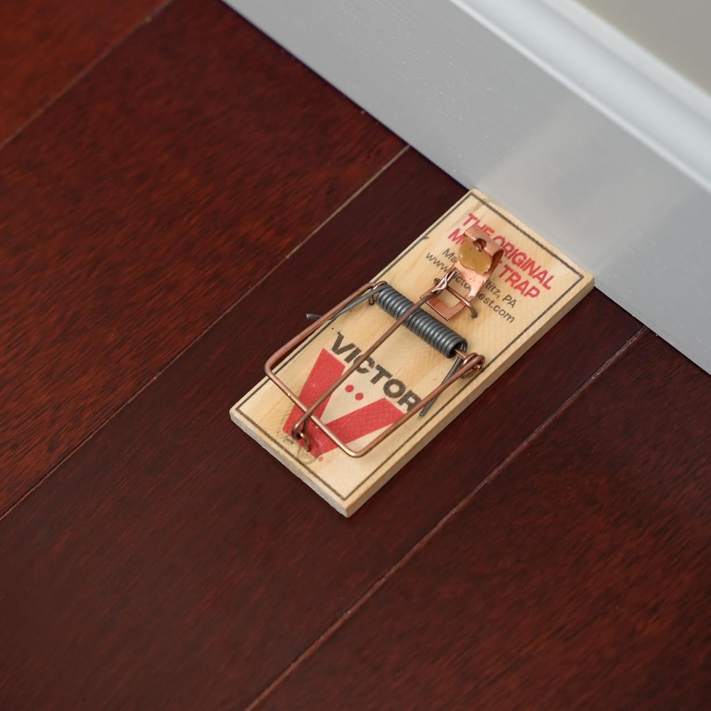 Victor Mouse Traps | M150-12 Wooden Traps with Metal Pedal - Eco-Friendly Pack of 12