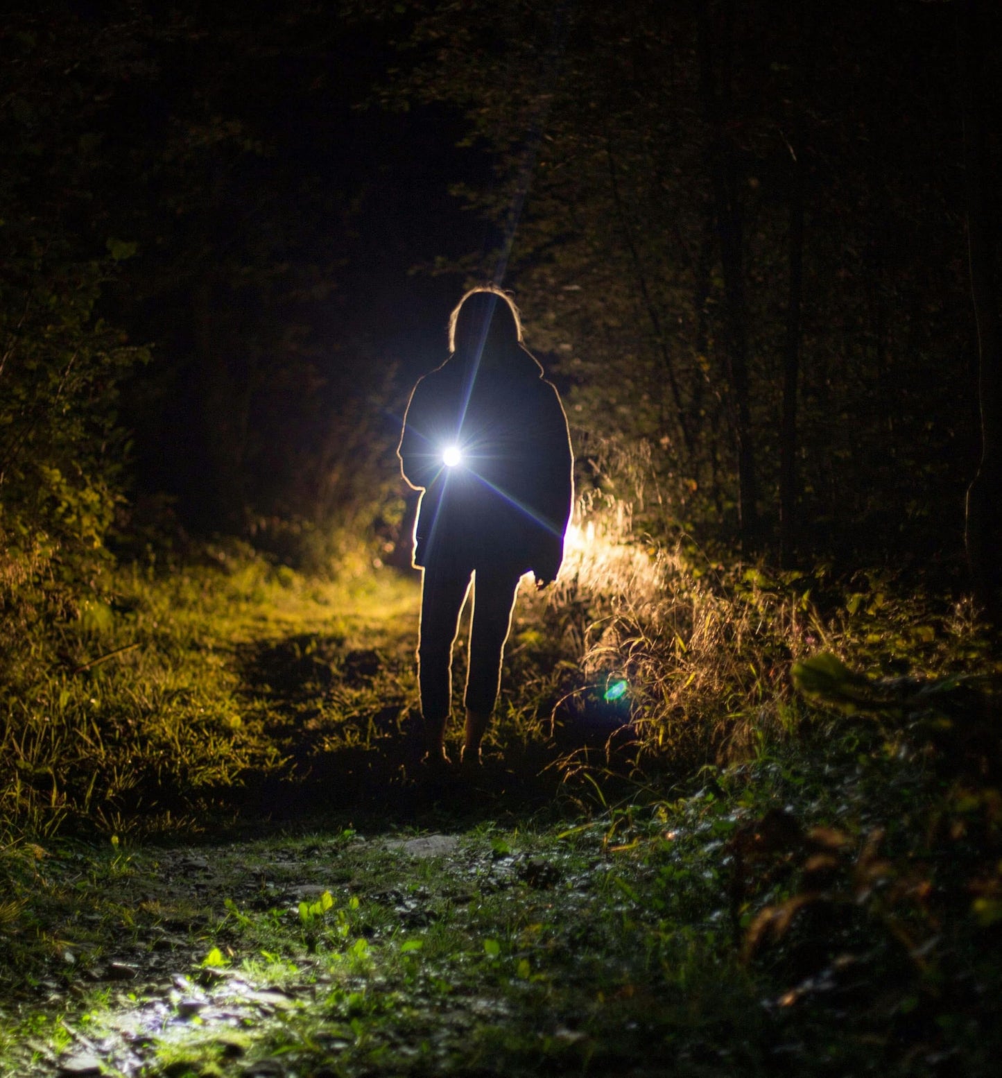 Darlur 5Pack Mini Small LED Flashlights，USB C Rechargeable Flash Lights，Ultralight Zoomable Flashlights for Home, Emergency, Camping ，Dog Walking，Bulk for Gifts