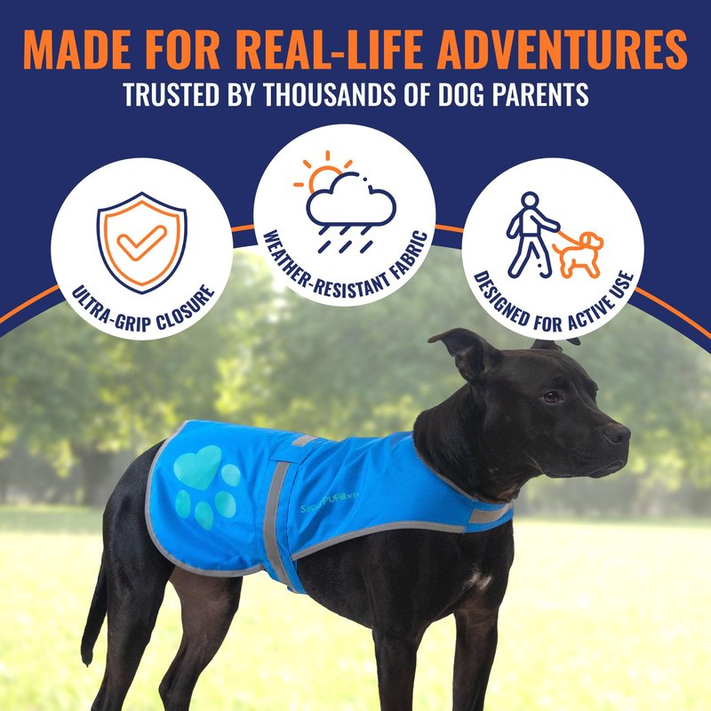 SafetyPUP XD Dog Reflective Vest – Hi-Vis Fluorescent Visibility that Helps to Safeguard Your Pet On/Off Leash in Urban & Rural Areas (Teal, Large)