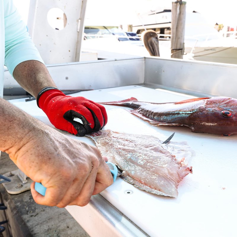 Smith's DARCIZZLE 51319 6” Curved Flex Fillet Knife - 400 Series Stainless Steel Blade - Non-Slip Soft Grip Handle - Sheath - Curved Fillet Knife - Deboning & Game Processing - Fishing Knife