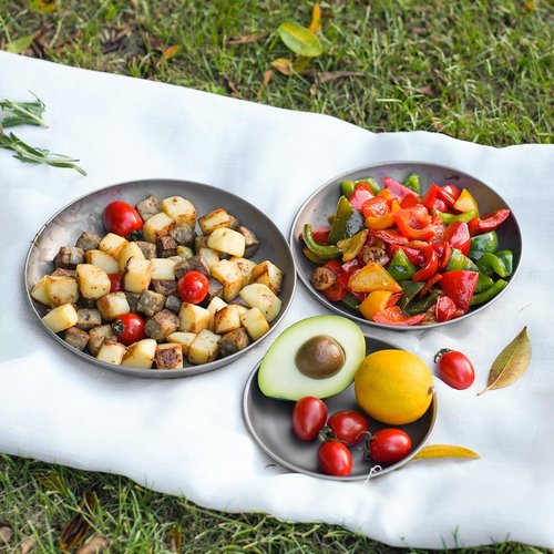 MAXCOOK 2 pcs Titanium Camping Plate Dishes,8.66 Inch Ultralight Durable Titanium Dish Plate, Outdoor Pasta Serving Backpacking plates for Travel Hiking Kitchen (22cm)
