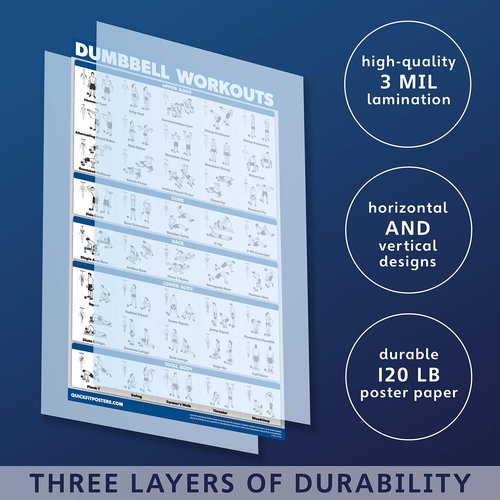 QUICKFIT Dumbell Workouts and Muscular System Anatomy Poster Set - Laminated 2 Chart Set - Dumbbell Exercise Routine & Muscle Anatomy Diagram (Laminated, 18" x 24")