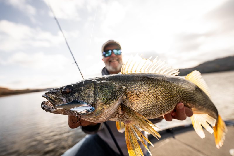 Rapala Walleye Boom Box, Walleye Lure Selection Includes 7 Hand-Picked baits Plus 1 Bonus Item, Featuring Trusted Brands Like Rapala, VMC, Crush City, Sufix, and Storm
