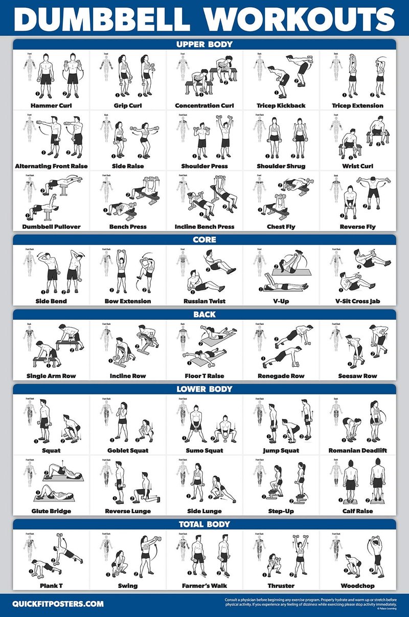 Palace Learning 4 Pack - Cable Machine Workouts + Dumbbell Workouts Vol 1 & 2 + Bodyweight Exercises - Set of 4 Workout Charts (LAMINATED, 18” x 24”)