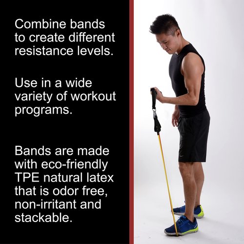 BodyForge Resistance Bands, Exercise Bands，Resistance Bands for Working Out, Work Out Bands with Handles for Men and Women Fitness, Strength Training Home Gym Equipment $averPak (1 Pack)