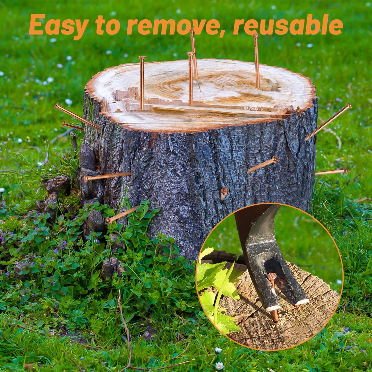 UCandy Pack 10 Copper Nails for Killing Trees Stump Root, 3.14" Copper Nails with Drill, Stump Removal Spikes Hardware Nails for Trees