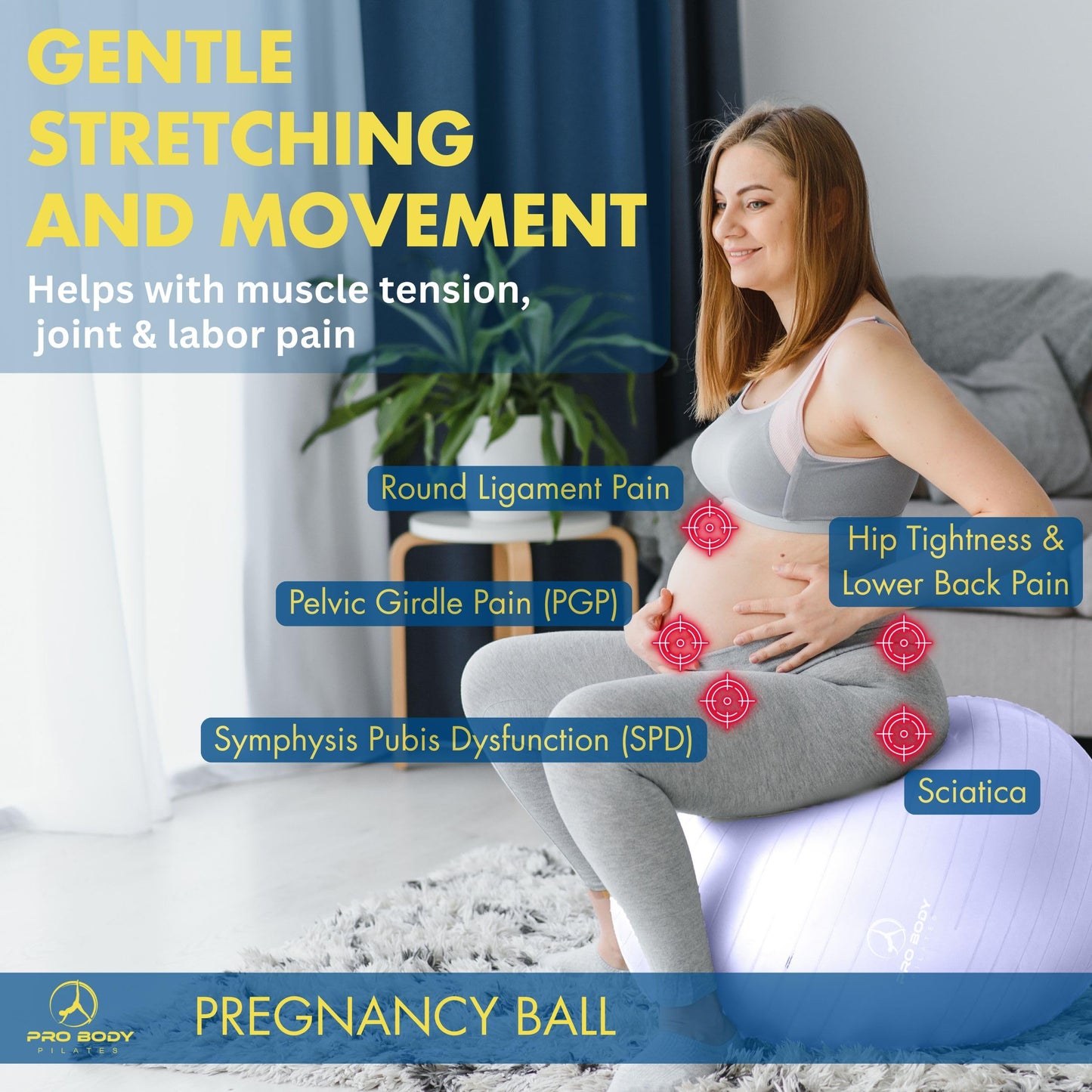 ProBody Pilates Pregnancy Ball - Yoga Ball for Pregnancy with Book, Prenatal, Labor & Postnatal Maternity Exercise (Lilac, 55 cm)