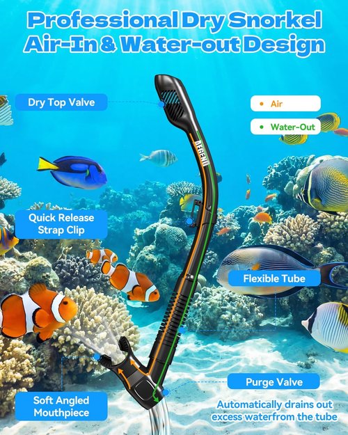 Aegend Snorkeling Gear Set - Anti-Fog Diving Mask with Dry Snorkel | Panoramic View & Mesh Bag for Adults