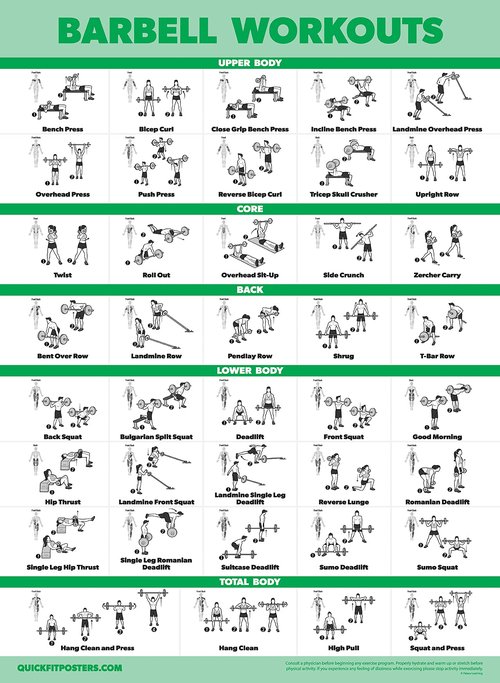 Palace Learning 20 Pack - Exercise Poster Set: Dumbbell, Suspension, Battle Rope, Stretching, Bodyweight, Barbell, Yoga, Exercise Ball - (LAMINATED, 18” x 24”)