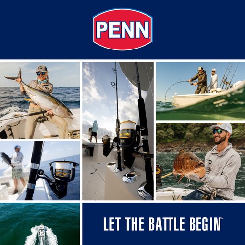 PENN Wrath II Saltwater Spinning Fishing Reel, Size 3000, Right/Left Handle Position, Corrosion-Resistant Graphite Body, Machined Anodized Aluminum Spool, Black/Gold