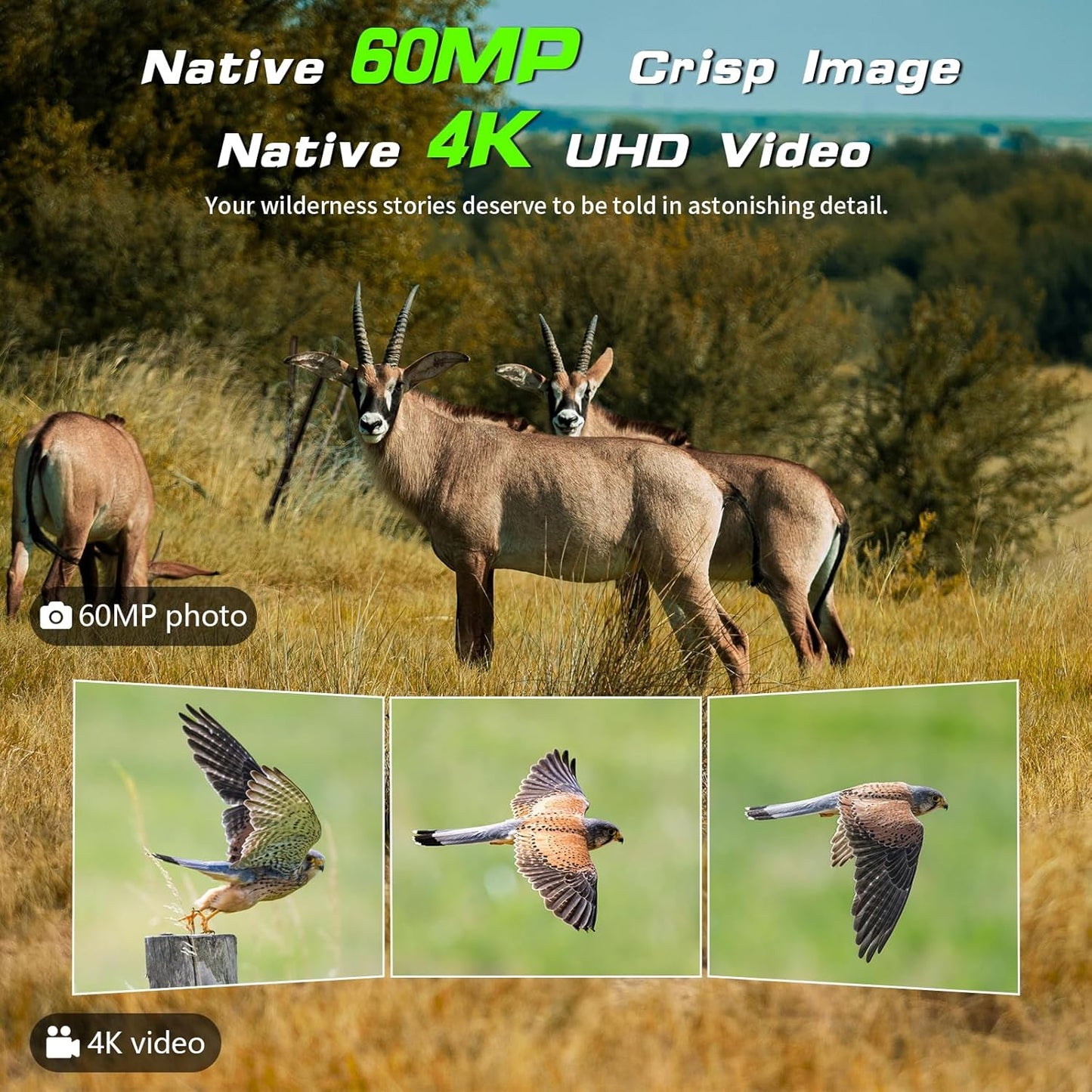 Trail Camera - Solar Powered 4K 60MP WiFi Game Camera with 0.1s Trigger & 65FT Detection | IP66 Waterproof
