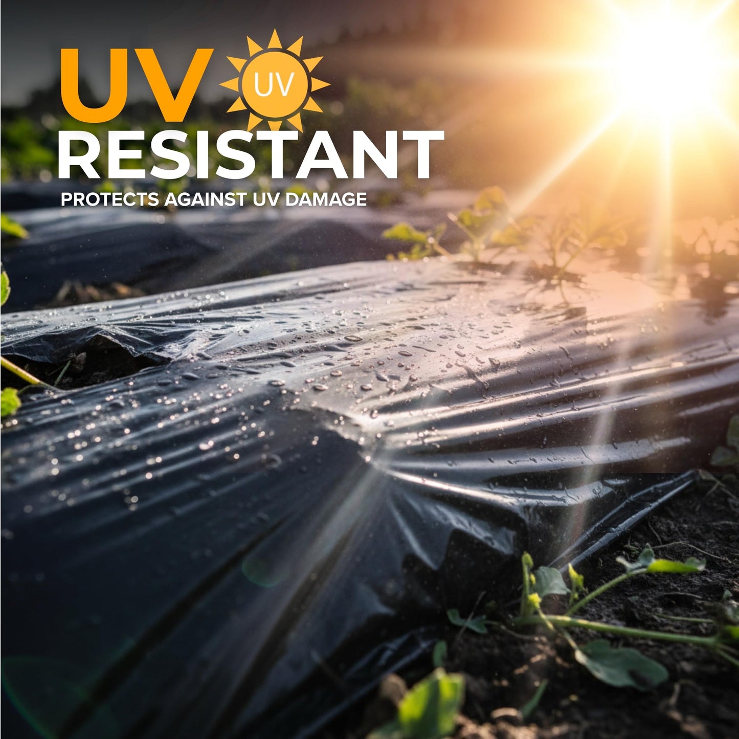 Black Plastic Sheeting Roll 3'x50' (2 Pack) – 4 Mil UV Protected, Weed Barrier & Landscape Plastic for Gardening, Root Blocker & Moisture Barrier, Protective Covering for Painting & Equipment