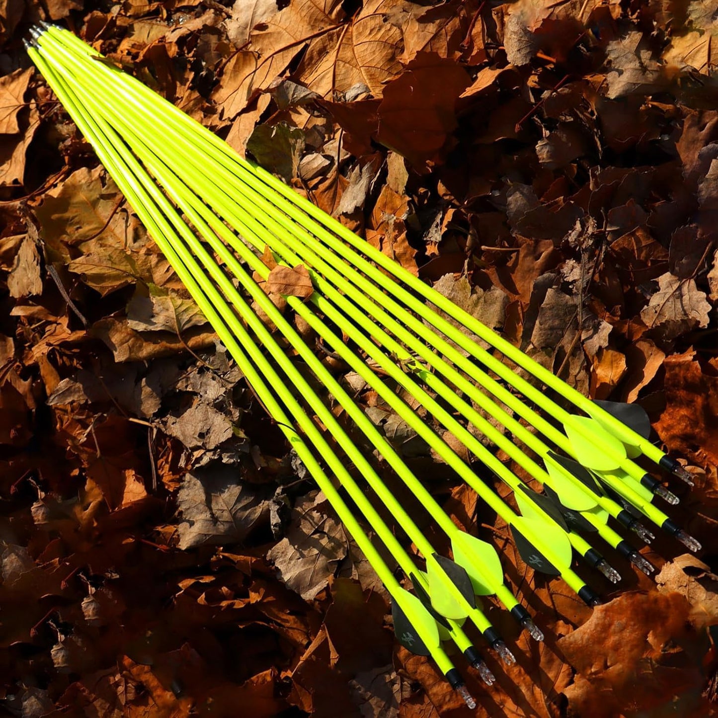 S F 28 inch Carbon Arrow Practice Hunting Arrows Spine 500 for Compound & Recurve Bow(Pack of 12)