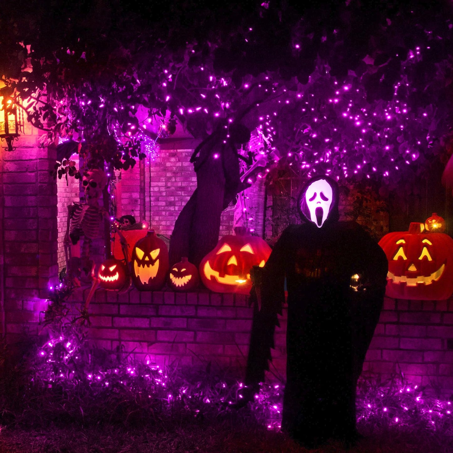 500 LED Pink Christmas Lights Black Wire,164 FT Outdoor Fairy Lights Plug in, Pink String Lights with 8 Twinkle Modes for Indoor Outdoor Bedroom, Yard, Wedding, Valentines Day Decoration