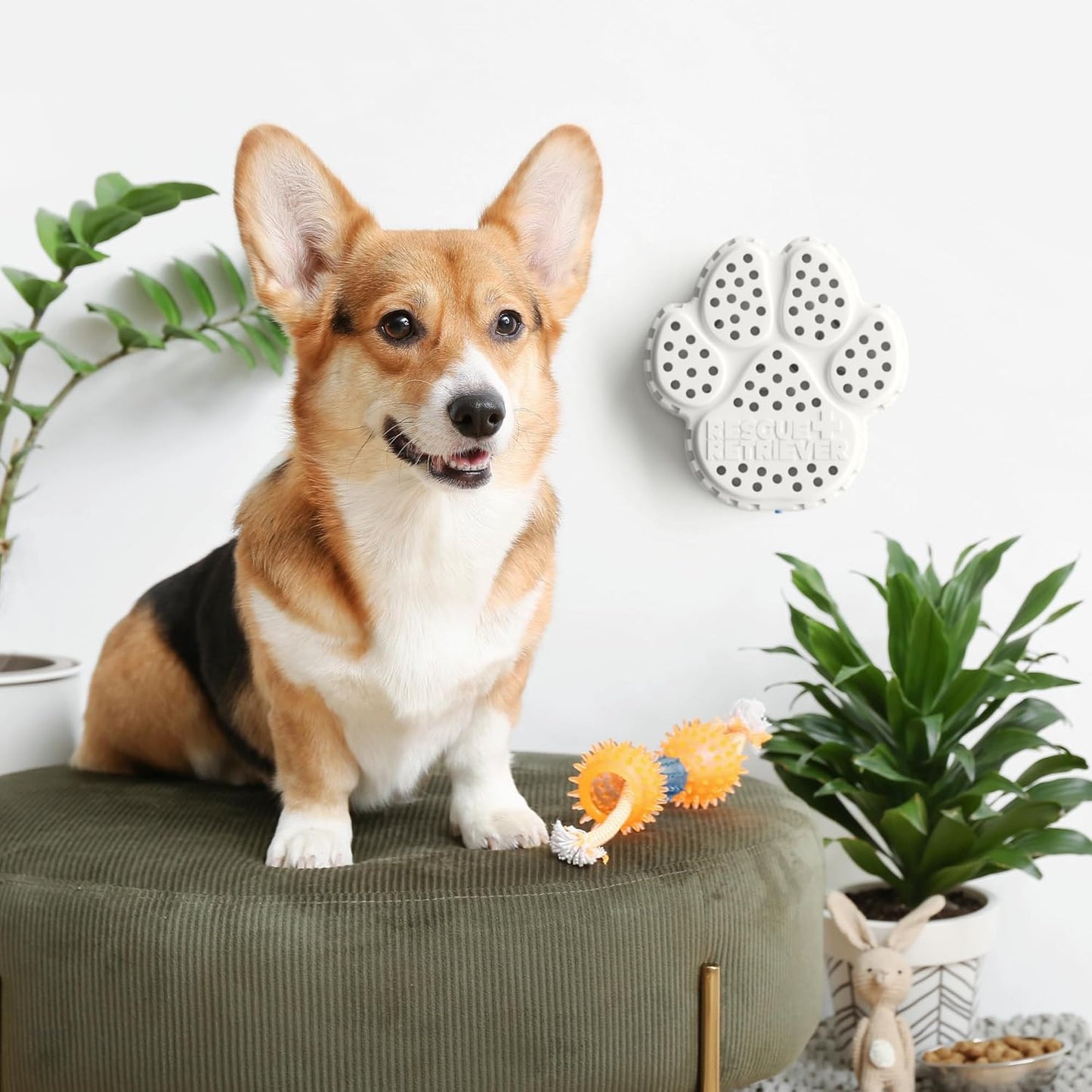 Pet Rescue Smoke Detector - Emergency Alert System for Dogs & Cats