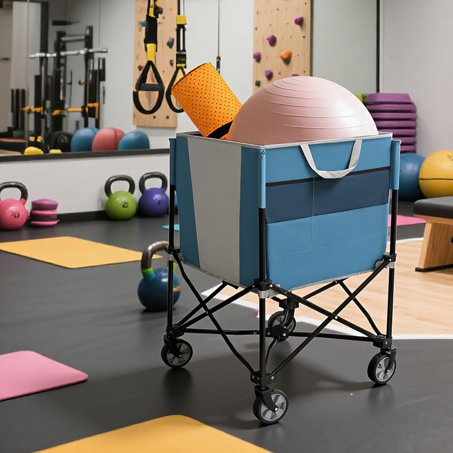 ZeHuoGe Rolling Ball Storage Cart - Collapsible Organizer with Wheels for Sports Equipment | Multi-Sport Family Gym