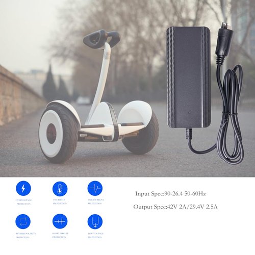 Compatible with Bosch eBike Charger and Unisex - Adult 2A Compact Gen2 Bicycle Decoration