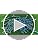 MYKUJA Wood Golf Tees 3-1/4, 2-3/4 inch 100 Pack, Highly Bright