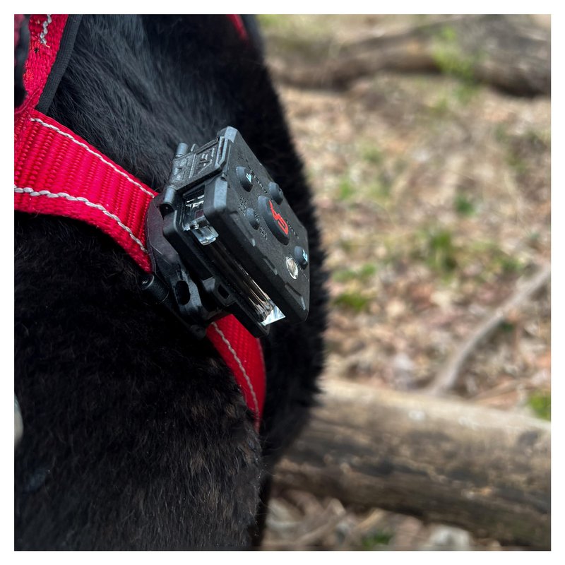 Guardian Angel Flashlight Snap Lock Mount Accessory – Magnetic Mount with Screw-in Feature – Clip Securely Snaps Close Around Straps – for Thinner Dog Straps, Backpacks, Molle, Thin Straps & More