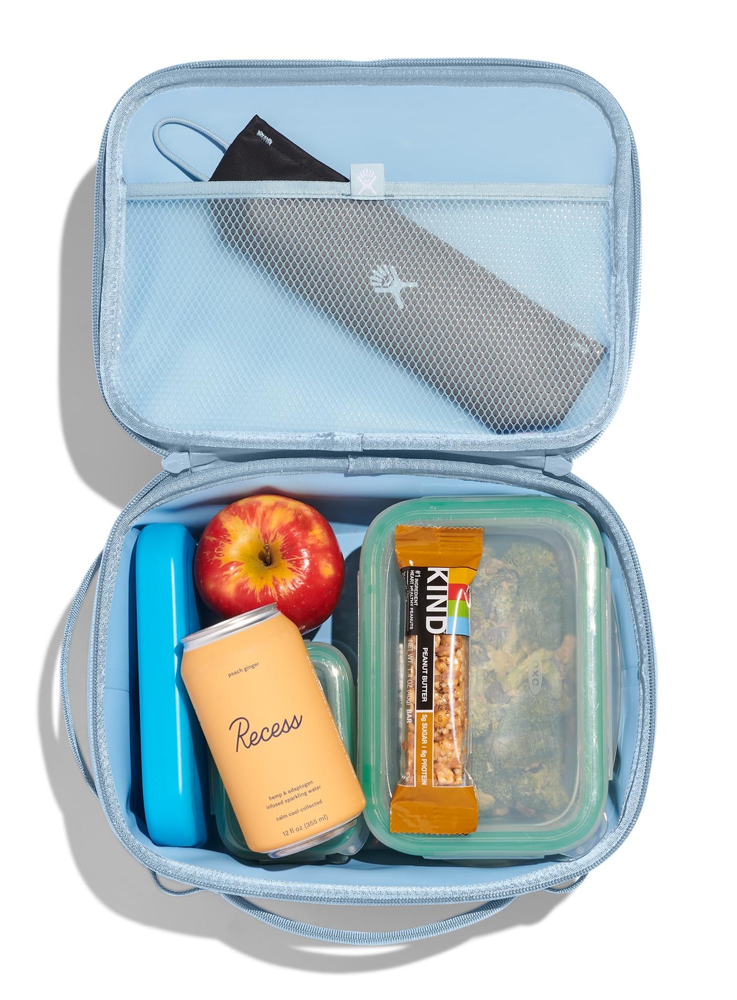 Hydro Flask Carry Out Lunch Box – Insulated Adult Lunch Cooler for Men and Women 5 L Surf Blue